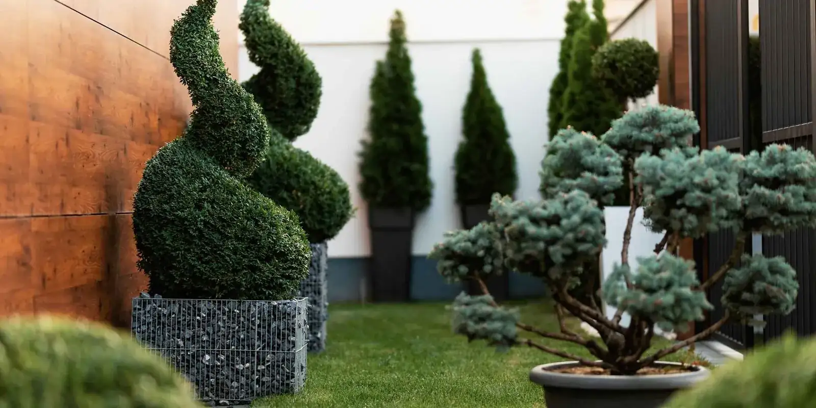 Jardín con setos recortados cuidado por Jardinería Chiclana